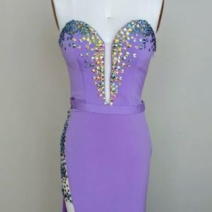 Brand New Purple Orchid Dress